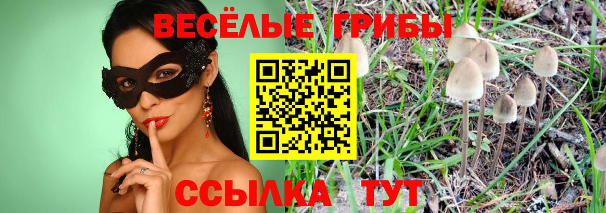 Рузаевка  Вход с VPN  ГАШ  Cocaine  А ПВП СОЛЬ кристаллы  Гашиш  Меф МЯУ МЯУ  Меф кристаллы  МАРИХУАНА  Экстази 