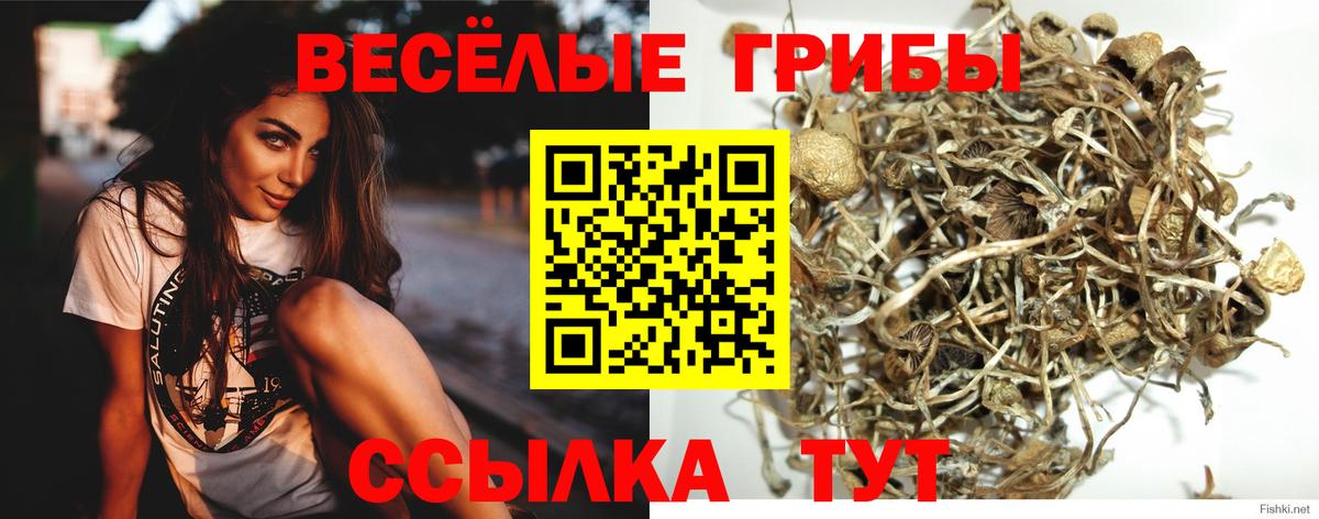 Рузаевка  Псилоцибиновые грибы мухоморы  Вход с VPN 