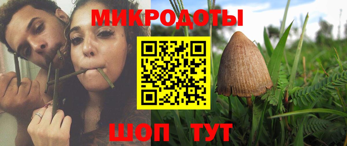 Галлюциногенные грибы Cubensis Рузаевка
